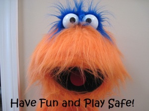 Have Fun and Play Safe 